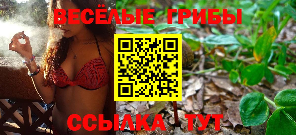 Галлюциногенные грибы Magic Shrooms  Псилоцибиновые грибы прущие грибы  Пятигорск  Вход с VPN 