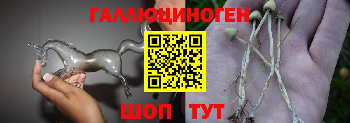 Псилоцибиновые грибы MAGIC MUSHROOMS Пятигорск